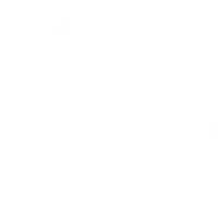 The Windy City Dispatch