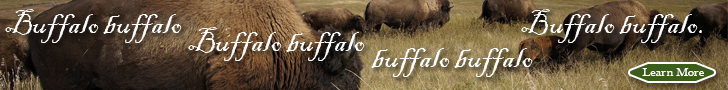 Buffalo buffalo Buffalo buffalo buffalo buffalo Buffalo buffalo.